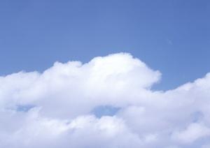 大切なペットがいざという時に備えて