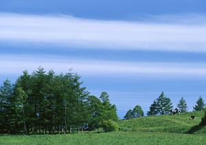 宇都宮市の葬儀を安心・丁寧にサポート【さがみ典礼 中戸祭】の特徴と店舗情報