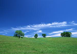 静岡市に根ざした葬儀サービスを提供する富士葬祭 聖一色の全て