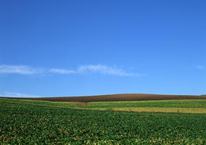 【公式】家族葬のタクセル下岡本町｜栃木県宇都宮市の安心家族葬ホールと斎場の詳細情報