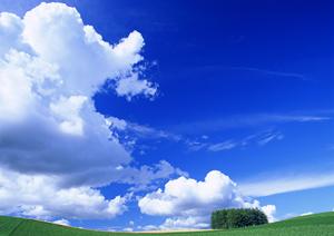 栃木県佐野市の信頼できる葬儀場【さがみ典礼佐野】の特徴とサービス概要