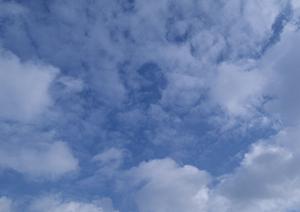 静岡県の家族葬対応ホール一覧と費用プラン｜低価格で安心の葬儀サービスをご紹介