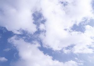 鹿児島での葬儀を安心して選ぶための完全ガイド：家族葬からペット葬までのプランと信頼できる葬儀会社のご紹介