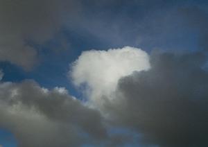 野田市の安心・信頼の葬儀場【ティア野田】の特徴とサービス詳細